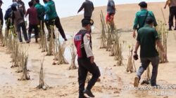 Tanam 2.000 Mangrove di Nongsa, Wali Kota Batam Ajak Warga Jaga Lingkungan Pesisir