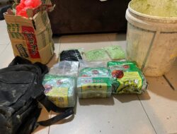 Ditresnarkoba Polda Kepri Ungkap Peredaran Narkoba Jaringan Internasional di Karimun