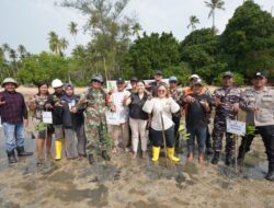 PT BSP Tanam 1.000 Mangrove di Pulau Ngenang, Perkuat Komitmen Hijau KEK Tanjung Sauh