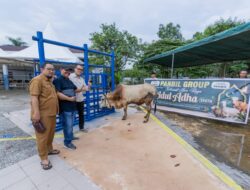 Panbil Group Salurkan 10 Sapi dan 14 Kambing Kurban untuk Warga Batam