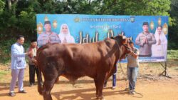 Polda Kepri Gelar Pemotongan Hewan Kurban dan Ramah Tamah Iduladha 1447 H