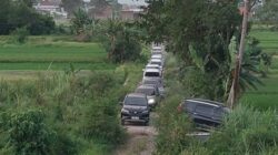 Jangan Asal Ikut Google Maps! Ratusan Pemudik Tersesat ke Sawah, Ini Cara Biar Nggak Kejebak