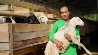 Mau Kurban 2026? Ini Daftar Harga Kambing dan Sapi BAZNAS di Riau dan Kepri