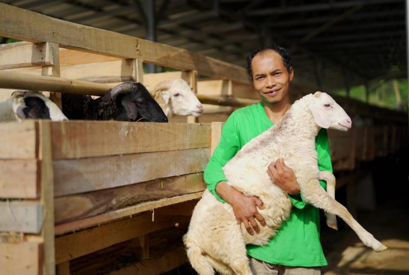 Mau Kurban 2026? Ini Daftar Harga Kambing dan Sapi BAZNAS di Riau dan Kepri