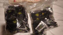 BNNP Kepri Gerebek Apartemen di Batam, Ratusan Vape Diduga Berisi Narkoba Etomidate Diamankan