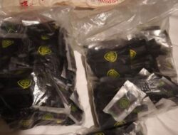 BNNP Kepri Gerebek Apartemen di Batam, Ratusan Vape Diduga Berisi Narkoba Etomidate Diamankan