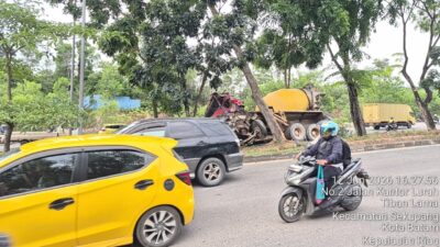 Truk Molen Tabrak Pohon di Tiban Kampung, Kemacetan Mengular hingga Sungai Ladi