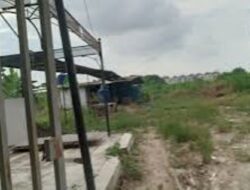 Ribuan Hektare Lahan Tidur di Batam Terancam Dicabut, Amsakar: Dua Tahun Tak Digarap Kami Ambil Lagi