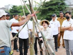 Tak Lagi Kumuh! Li Claudia Resmikan Penataan DAS Baloi Indah Jadi Taman Kota Favorit Warga