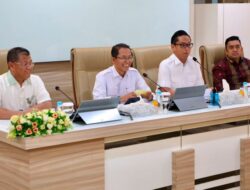 Batam dan Medan Siapkan Gebrakan Baru! Investasi, UMKM hingga Lapangan Kerja Jadi Bidikan Kerja Sama