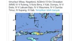 Gempa M7,0 Guncang Nagekeo NTT Subuh, Getaran Terasa hingga Bali dan Makassar