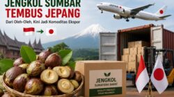 Jengkol Sumbar Naik Kelas! Dari Komoditas Lokal Kini Masuk Pasar Ekspor Jepang