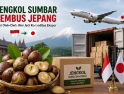 Jengkol Sumbar Naik Kelas! Dari Komoditas Lokal Kini Masuk Pasar Ekspor Jepang