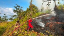 35 Hektare Lahan Terbakar, Tim Gabungan Berjibaku Taklukkan Api di Trans Barelang Batam