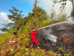 35 Hektare Lahan Terbakar, Tim Gabungan Berjibaku Taklukkan Api di Trans Barelang Batam