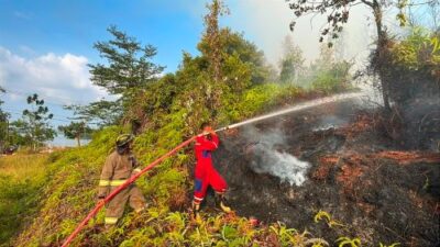 Api Mengamuk di Trans Barelang! 35 Hektare Lahan Batam Dilalap Kebakaran