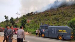 BMKG Peringatkan Pulau Bintan, Cuaca Panas dan Kering Picu Risiko Karhutla