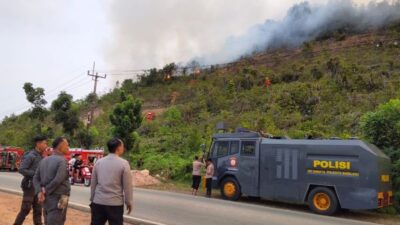 BMKG Peringatkan Pulau Bintan, Cuaca Panas dan Kering Picu Risiko Karhutla