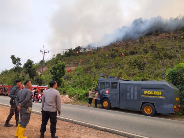 BMKG Peringatkan Pulau Bintan, Cuaca Panas dan Kering Picu Risiko Karhutla