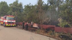 Polsek Nongsa Gerak Cepat Padamkan Kebakaran Semak Belukar di Kavling Sambau