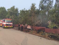 Polsek Nongsa Gerak Cepat Padamkan Kebakaran Semak Belukar di Kavling Sambau