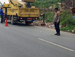 Pohon Berpotensi Tumbang di Tiban Hill Dipangkas, Pengguna Jalan Diimbau Waspada