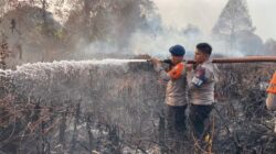 Karhutla Lingga Masuk Hari ke-15, 28 Hektare Terbakar! Bara Api Masih Mengancam