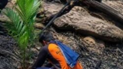 Prabowo Murka Soal Karhutla: Baru Terbakar, Lahan Langsung Jadi Kebun Sawit! “Korporasi Itu Milik Siapa?”
