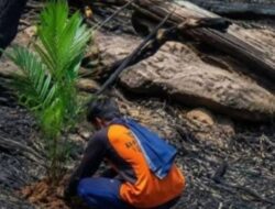 Prabowo Murka Soal Karhutla: Baru Terbakar, Lahan Langsung Jadi Kebun Sawit! “Korporasi Itu Milik Siapa?”