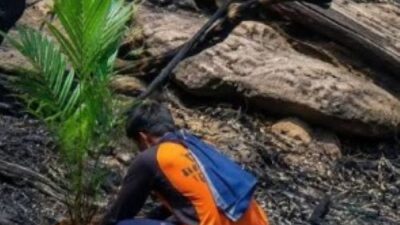 Prabowo Murka Soal Karhutla: Baru Terbakar, Lahan Langsung Jadi Kebun Sawit! “Korporasi Itu Milik Siapa?”
