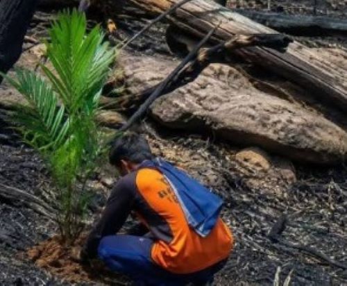 Prabowo Murka Soal Karhutla: Baru Terbakar, Lahan Langsung Jadi Kebun Sawit! “Korporasi Itu Milik Siapa?”