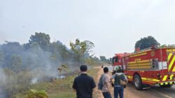 Nyaris Meluas! Kebakaran Lahan Kosong di Batam Kota Cepat Ditangani Polisi dan Damkar