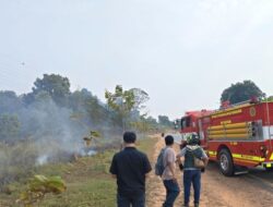 Nyaris Meluas! Kebakaran Lahan Kosong di Batam Kota Cepat Ditangani Polisi dan Damkar