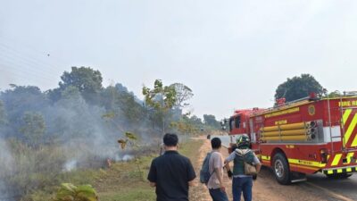 Nyaris Meluas! Kebakaran Lahan Kosong di Batam Kota Cepat Ditangani Polisi dan Damkar