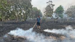 Api Karhutla Kembali Muncul di Lingga! 2 Hektare Lahan Terbakar, Petugas Bergerak Cepat