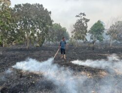Api Karhutla Kembali Muncul di Lingga! 2 Hektare Lahan Terbakar, Petugas Bergerak Cepat