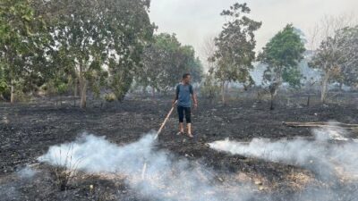 Api Karhutla Kembali Muncul di Lingga! 2 Hektare Lahan Terbakar, Petugas Bergerak Cepat