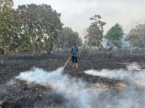 Api Kembali Muncul di Lingga! 2 Hektare Lahan Terbakar, Petugas Bergerak Cepat