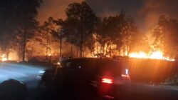 Kebakaran Lahan di Marina City Hanguskan 4.000 Meter Persegi Semak Belukar