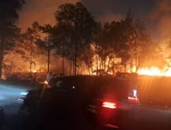 Kebakaran Lahan di Marina City Hanguskan 4.000 Meter Persegi Semak Belukar