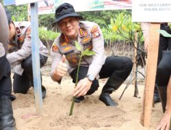 1.000 Mangrove Ditanam di Nongsa, Jaga Pesisir Sekaligus Hidupkan Wisata