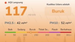 Polusi Udara Batam Meningkat, PM2.5 Capai 2,8 Kali di Atas Pedoman WHO